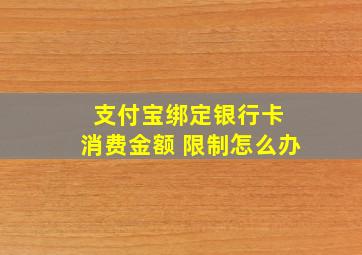 支付宝绑定银行卡 消费金额 限制怎么办